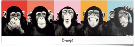Poster Apen popart - 53 x 158 - Papier - REINDERS