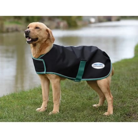 Hondendeken Weatherbeeta Green-Tec Lite Plus