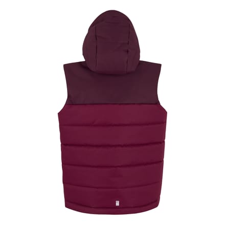 Regatta Lofthouse Bodywarmer voor kinderen/Kinderen (Vijg/Dark Pimento)