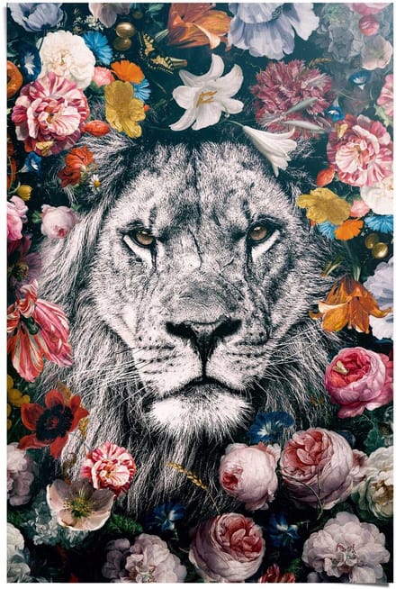 Poster Jungle leeuw - 91,5 x 61 - Papier - REINDERS