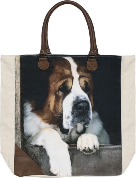 Shopper Canvas Gekleurd Katoen 40x44x12cm