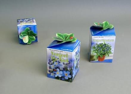 Greengiftdoosje per 10 stuks Vergeet me nietje