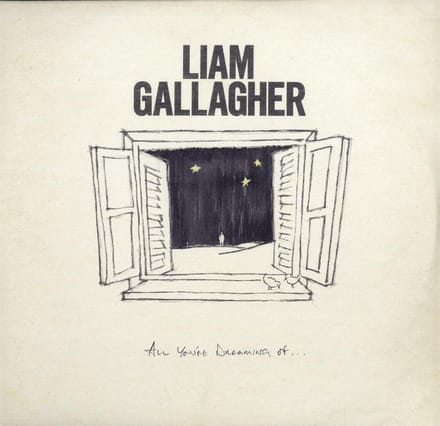 All You're Dreaming Of. Dreaming Of / White Vinyl 12" / Side 2 Etched - Liam Gallagher