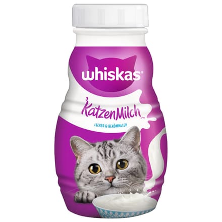 3 x 6 stuks verpakking Voordeelpakket Whiskas Kattenmelk 6 x 200 ml  kattenvoer