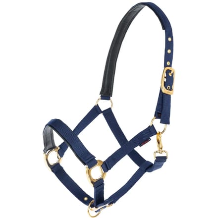 Halster voor paarden Covalliero TopLine