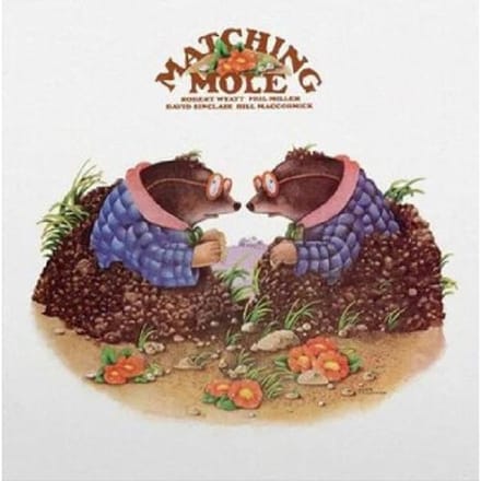 Matching Mole - Matching Mole