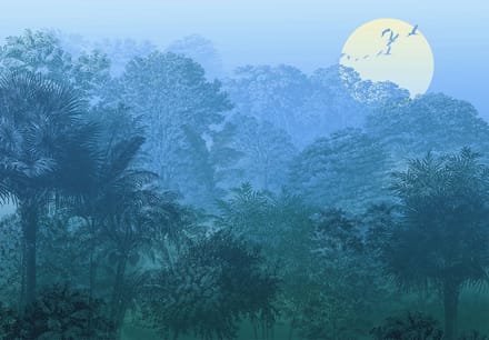 Fotobehang Deep In The Jungle - Meerkleurig - 2,80m X 400cm