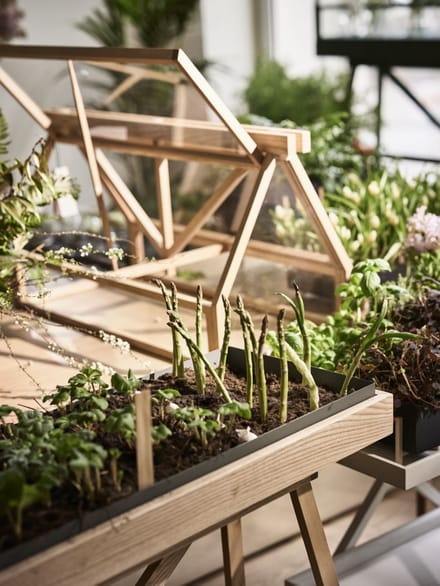 Design House Stockholm Greenhouse kas - as