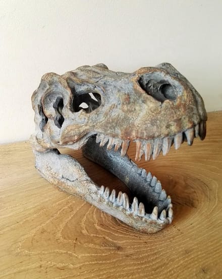 Nemesis Now - Schedels - Tyrannosaurus Rex Schedel - Beeld - 16cm