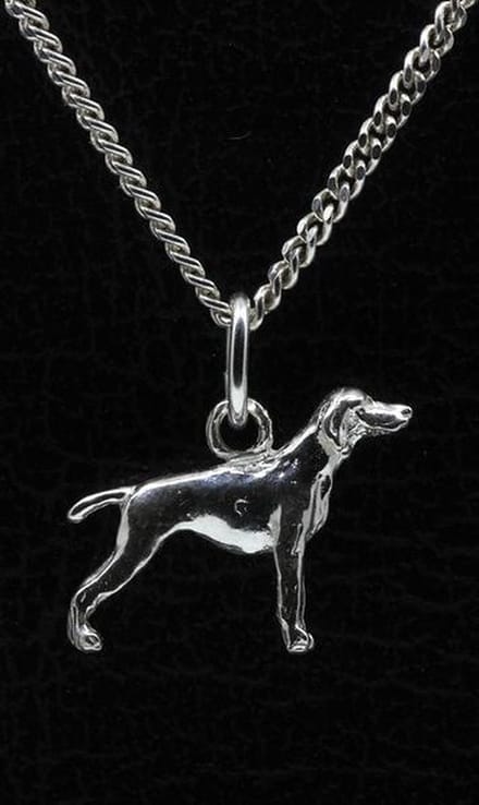 Zilveren Weimaraner korthaar ketting hanger - klein
