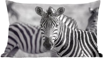 Sierkussens - Kussentjes Woonkamer - 60x40 cm - Zebra's - Zwart - Wit
