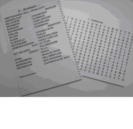Denksport Grootletter Woordzoeker Voor Slechtzienden ( 3 sterren )