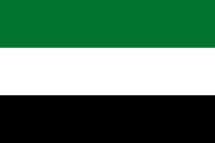 Vlag Verenigde Arabische Emiraten 70x100cm