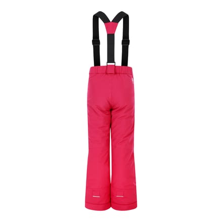 Dare 2B Kinderen/Kinderen Outmove II skibroek (Bessenroze)