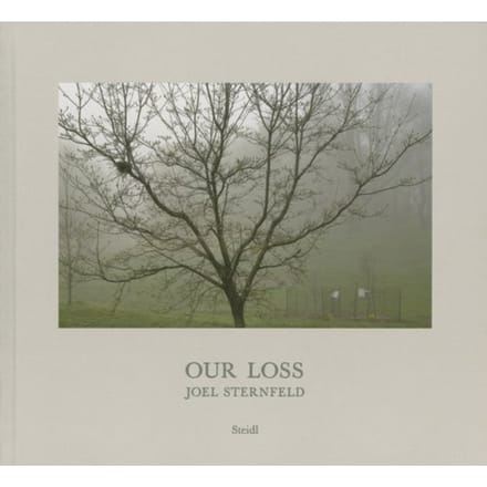 Joel Sternfeld: Our Loss - Joel Sternfeld