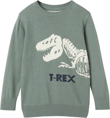 Vertbaudet Leuke jongenstrui met dino