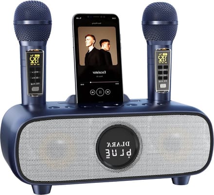 Thuys – Karaoke Machine Draagbare Bluetooth 2 UHF – Met houder – USB – TF – Kaart – AUX – in PA – Luidsprekersysteem