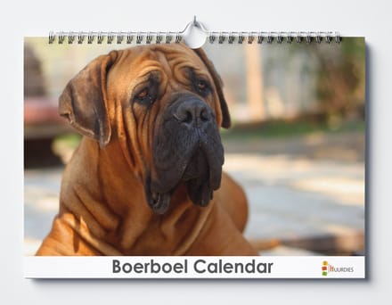 Huurdies - Verjaardagskalender - Boerboel - A3