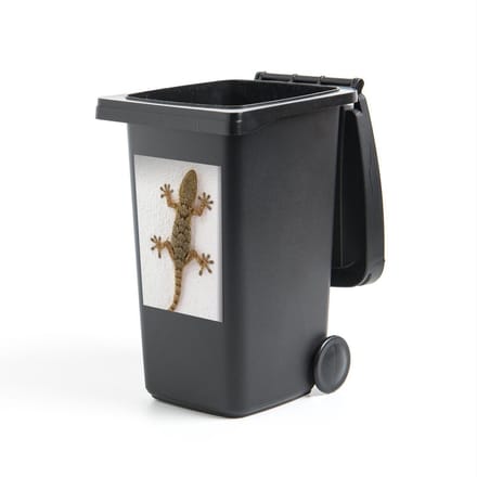 Container sticker Gecko - Tarentola gekko uit Mallorca - 40x60 cm - kliko sticker - weerbestendige containersticker