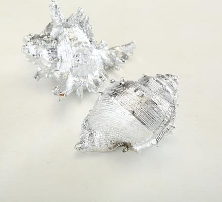 Schelp - Zeefruit - Decoratie - 2 set - zilver - 14 cm