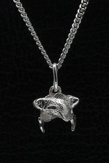 Zilveren Sterrenbeeld Vissen ketting hanger - klein