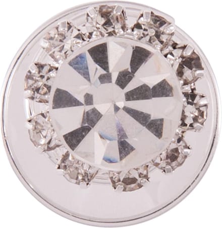 BR Knotspiraal BR Crystal Horse 1.2cm set/5st. One Size Zilver