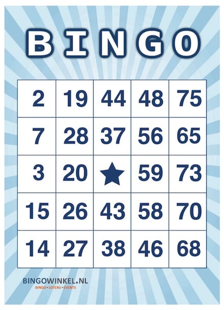 Bingokaarten 1-75 Karton | Blauw | 50 stuks