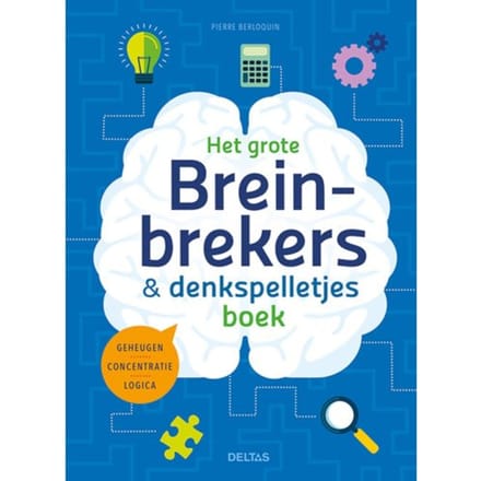 Het Grote Breinbrekers En Denkspelletjes Boek - Pierre Berloquin