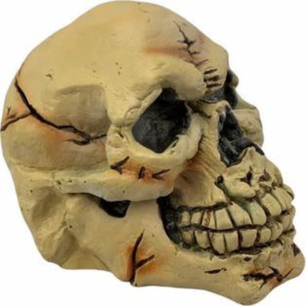 Halloween decoratie doodskop 22 cm