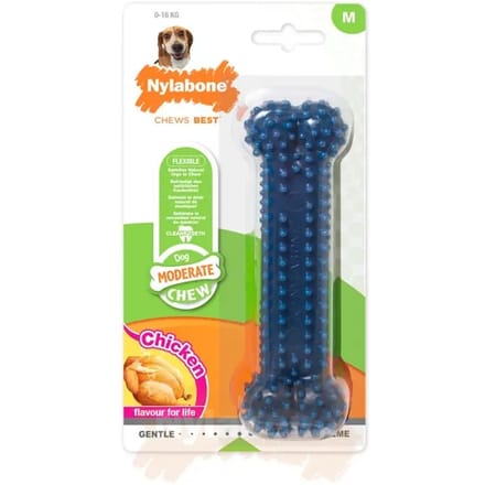 Hondenspeelgoed Nylabone Moderate Dental Chew - Chicken M