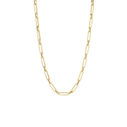 Blush Ketting Dames - Goud - 45 cm - Halsketting Dames Geen bewerking - Collier