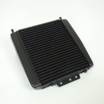 Radiateur de refroidissement TNT pour Scooter Piaggio 125 MP3 Neuf