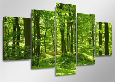 Art4-all - Canvas Schilderij Forrest - 160x80cm
