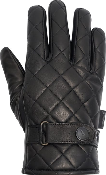 Donders 1860 Handschoenen - Zwart - M