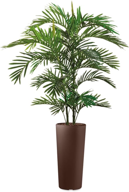 HTT - Kunstplant Areca palm in Clou rond bruin H175 cm