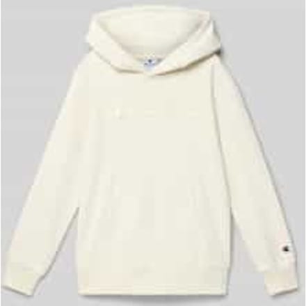 Regular fit hoodie met logostitching, model 'Icons'