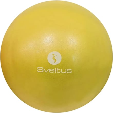Opleidingsbal Sveltus