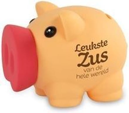 Miko - Spaarvarkentje - Leukste zus