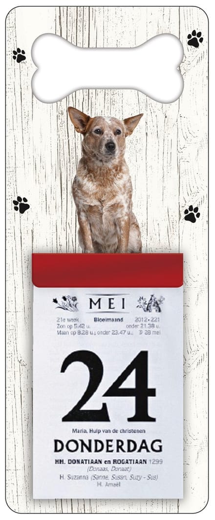 Scheurkalender 2027 Hond: Australian Cattle Dog