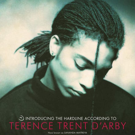 Introducing The Hardline According To Terence Trent D'Arby - Sananda Maitreya