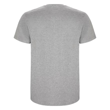 Roly Heren Stafford T-Shirt (Heide Grijs)