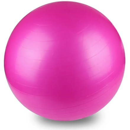 Swiss Ball 55 Cm