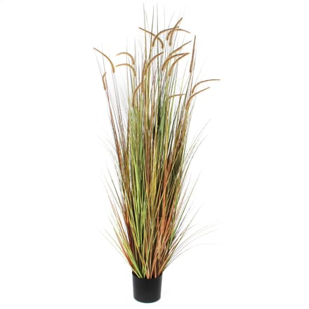 Mica Decorations Pluimgras Dogtail Kunstplant - H180 x Ø85 cm - Groen
