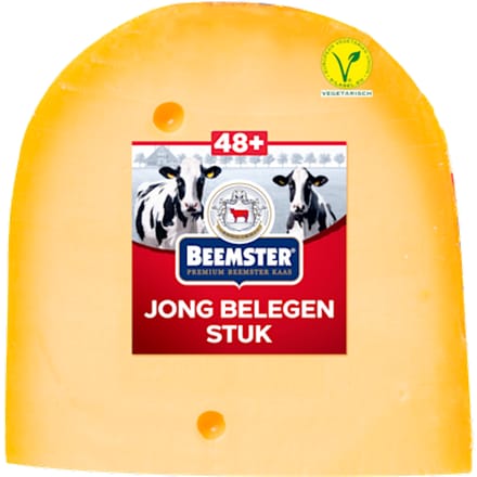 Jong belegen 48+ stuk