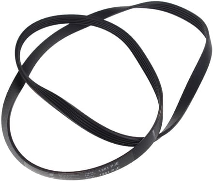 FAGOR / BRANDT - SNAAR POLY-V --- 1281PJ5 - ELASTISCH - AS0033204