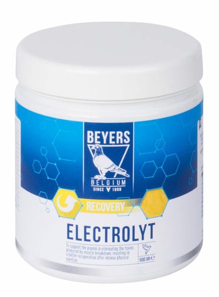 Beyers Elektrolyt 500 gr