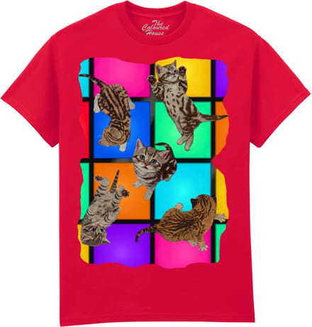 Disco Kittens The Coloured House T-shirt M