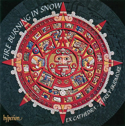 Fire Burning In Snow