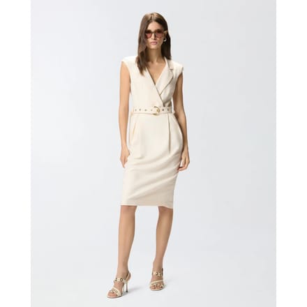 Pinko amadine frisottino jurk ss26