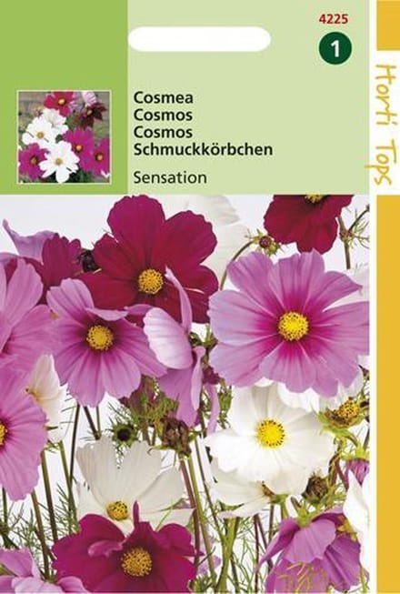 Hortitops Zaden - Cosmos Sensation Gemengd